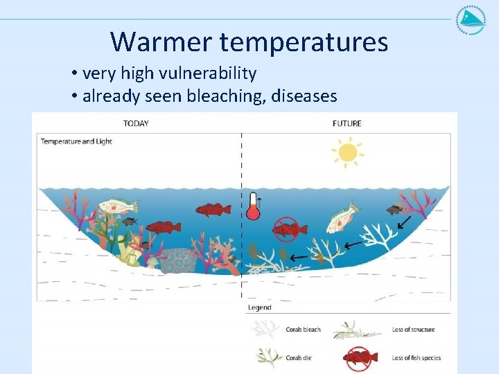 Warmer temperatures • very high vulnerability • already seen bleaching, diseases 