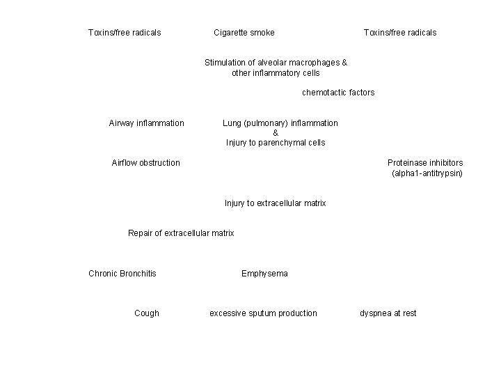 Toxins/free radicals Cigarette smoke Toxins/free radicals Stimulation of alveolar macrophages & other inflammatory cells