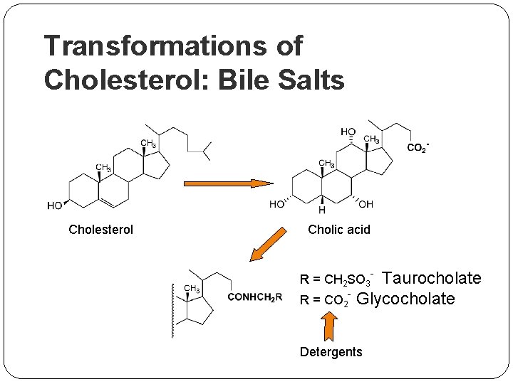 Transformations of Cholesterol: Bile Salts Cholesterol Cholic acid - Taurocholate R = CO 2