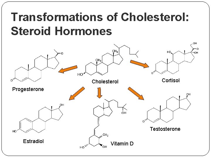 Transformations of Cholesterol: Steroid Hormones Cholesterol Cortisol Progesterone Testosterone Estradiol Vitamin D 