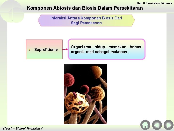 Bab 8 Ekosistem Dinamik Komponen Abiosis dan Biosis Dalam Persekitaran Interaksi Antara Komponen Biosis