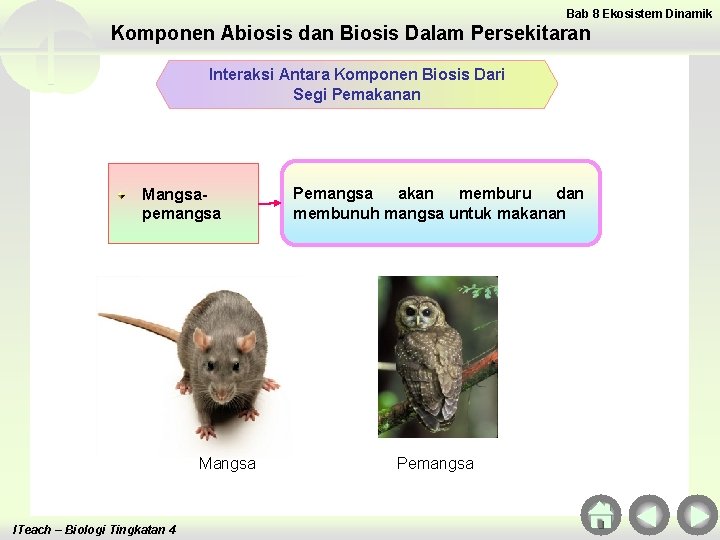 Bab 8 Ekosistem Dinamik Komponen Abiosis dan Biosis Dalam Persekitaran Interaksi Antara Komponen Biosis