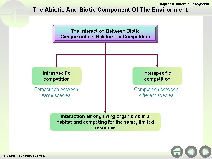 Chapter 8 Dynamic Ecosystem The Abiotic And Biotic Component Of The Environment The Interaction