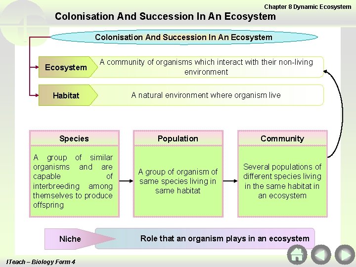 Chapter 8 Dynamic Ecosystem Colonisation And Succession In An Ecosystem A community of organisms
