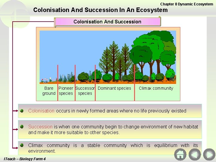 Chapter 8 Dynamic Ecosystem Colonisation And Succession In An Ecosystem Colonisation And Succession Bare
