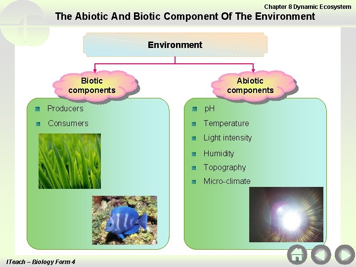 Chapter 8 Dynamic Ecosystem The Abiotic And Biotic Component Of The Environment Biotic components