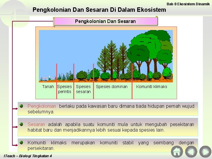 Bab 8 Ekosistem Dinamik Pengkolonian Dan Sesaran Di Dalam Ekosistem Pengkolonian Dan Sesaran Tanah