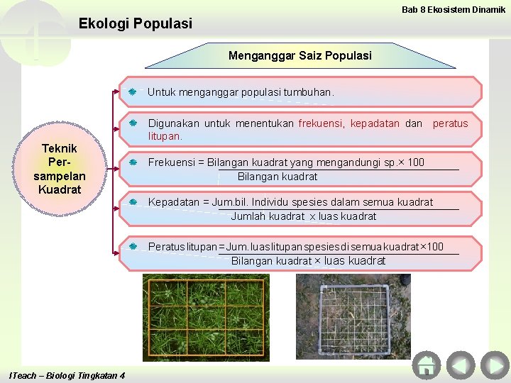 Bab 8 Ekosistem Dinamik Ekologi Populasi Menganggar Saiz Populasi Untuk menganggar populasi tumbuhan. Digunakan