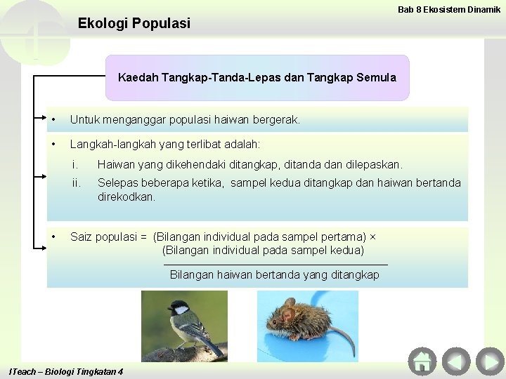 Bab 8 Ekosistem Dinamik Ekologi Populasi Kaedah Tangkap-Tanda-Lepas dan Tangkap Semula • Untuk menganggar