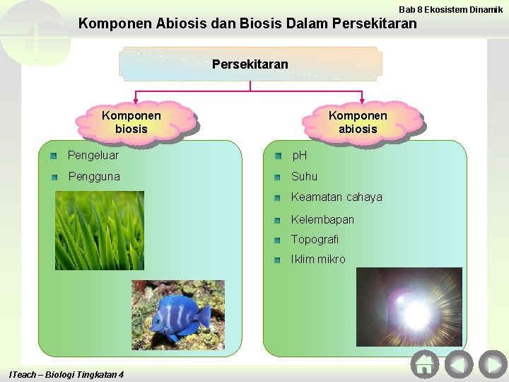 Bab 8 Ekosistem Dinamik Komponen Abiosis dan Biosis Dalam Persekitaran Komponen biosis Komponen abiosis