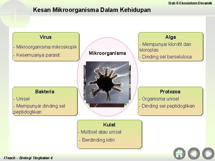 Bab 8 Ekosistem Dinamik Kesan Mikroorganisma Dalam Kehidupan Virus - Mikroorganisma mikroskopik - Kesemuanya