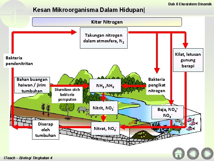 Bab 8 Ekosistem Dinamik Kesan Mikroorganisma Dalam Hidupan| Kitar Nitrogen Takungan nitrogen dalam atmosfera,