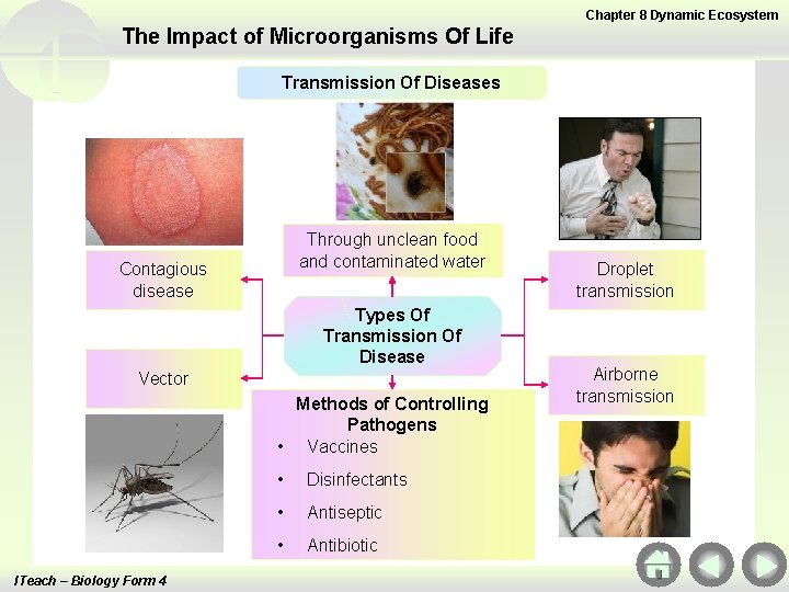 Chapter 8 Dynamic Ecosystem The Impact of Microorganisms Of Life Transmission Of Diseases Through