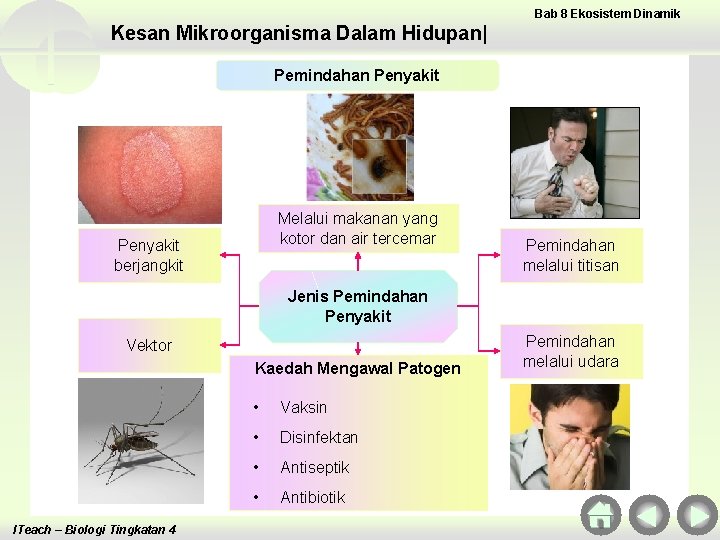 Bab 8 Ekosistem Dinamik Kesan Mikroorganisma Dalam Hidupan| Pemindahan Penyakit Melalui makanan yang kotor