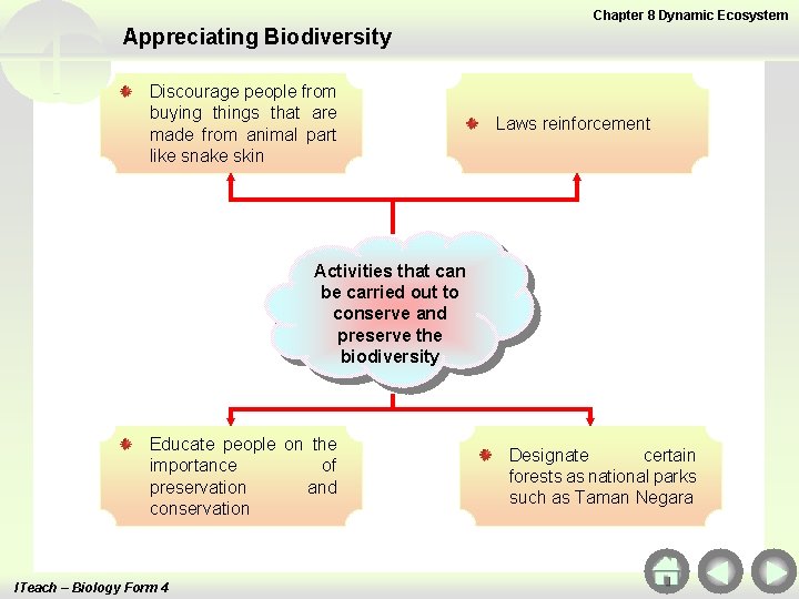 Chapter 8 Dynamic Ecosystem Appreciating Biodiversity Discourage people from buying things that are made