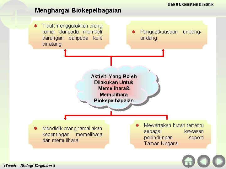 Bab 8 Ekosistem Dinamik Menghargai Biokepelbagaian Tidak menggalakkan orang ramai daripada membeli daripada barangankulit