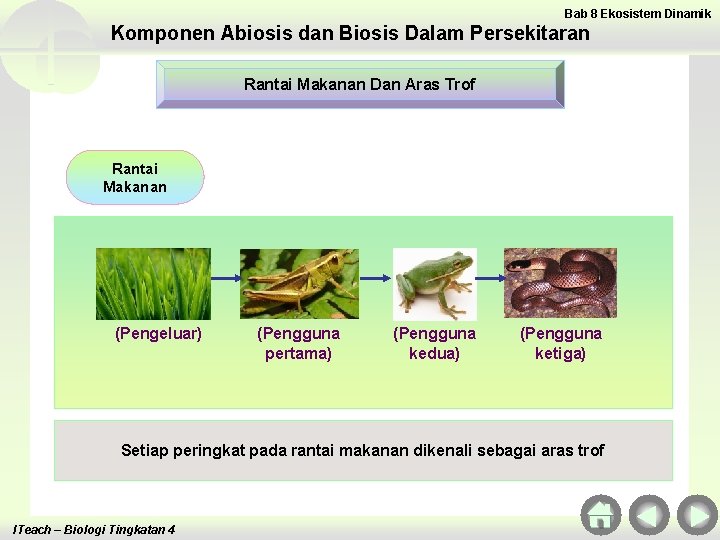 Bab 8 Ekosistem Dinamik Komponen Abiosis dan Biosis Dalam Persekitaran Rantai Makanan Dan Aras