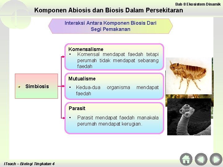 Bab 8 Ekosistem Dinamik Komponen Abiosis dan Biosis Dalam Persekitaran Interaksi Antara Komponen Biosis