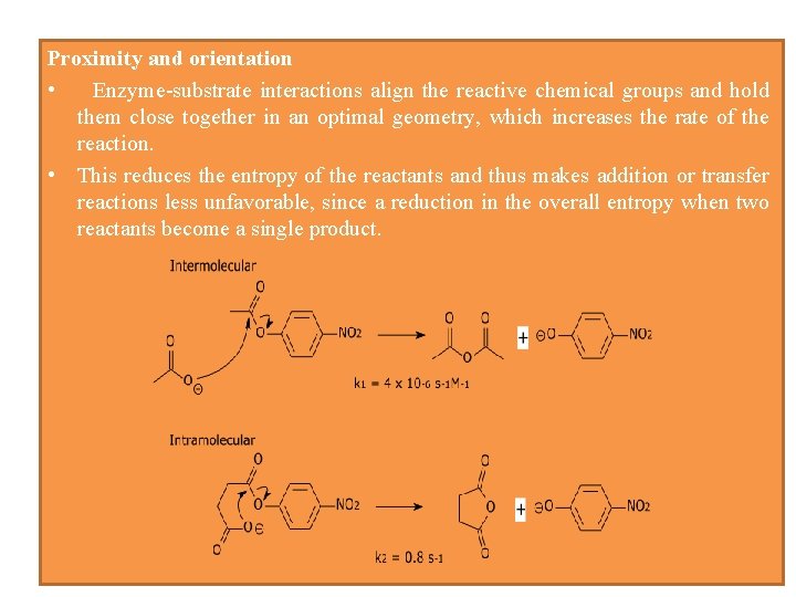 Proximity and orientation • Enzyme-substrate interactions align the reactive chemical groups and hold them