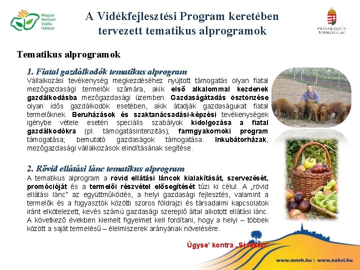 A Vidékfejlesztési Program keretében tervezett tematikus alprogramok Tematikus alprogramok 1. Fiatal gazdálkodók tematikus alprogram