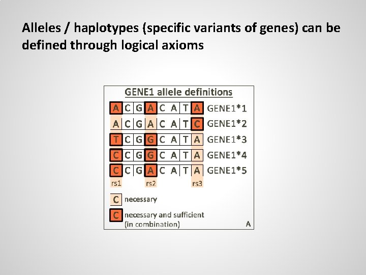 Alleles / haplotypes (specific variants of genes) can be defined through logical axioms 