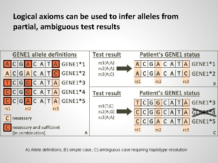 Logical axioms can be used to infer alleles from partial, ambiguous test results A)