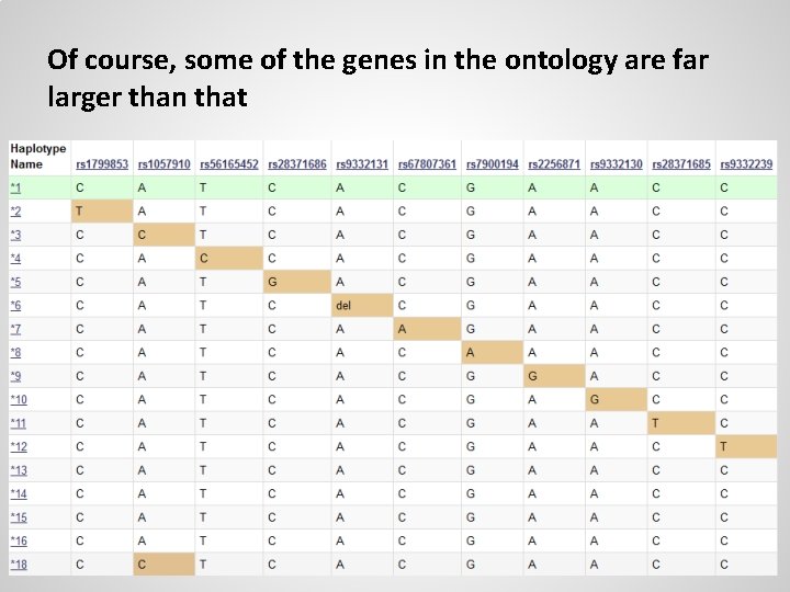 Of course, some of the genes in the ontology are far larger than that