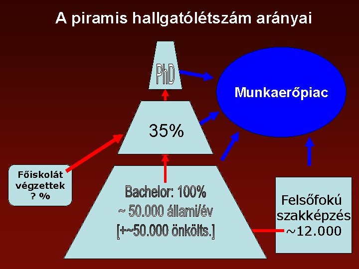 A piramis hallgatólétszám arányai Munkaerőpiac 35% Főiskolát végzettek ? % Felsőfokú szakképzés ~12. 000
