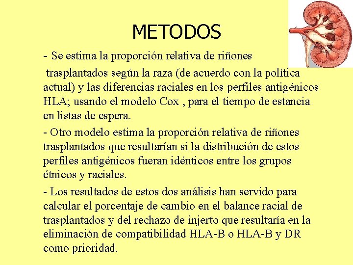 METODOS - Se estima la proporción relativa de riñones trasplantados según la raza (de