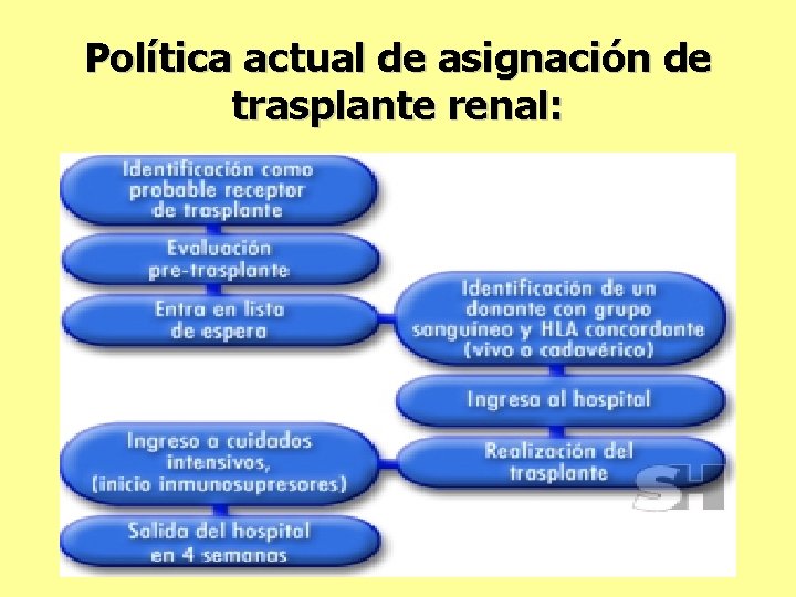 Política actual de asignación de trasplante renal: 