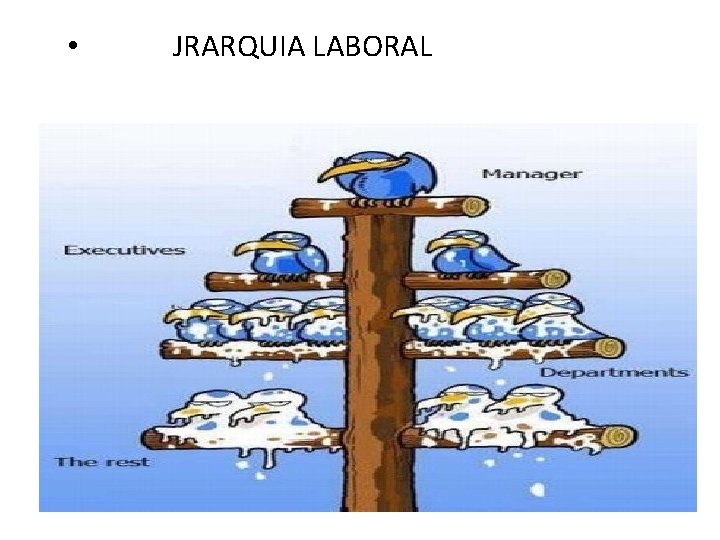  • JRARQUIA LABORAL 