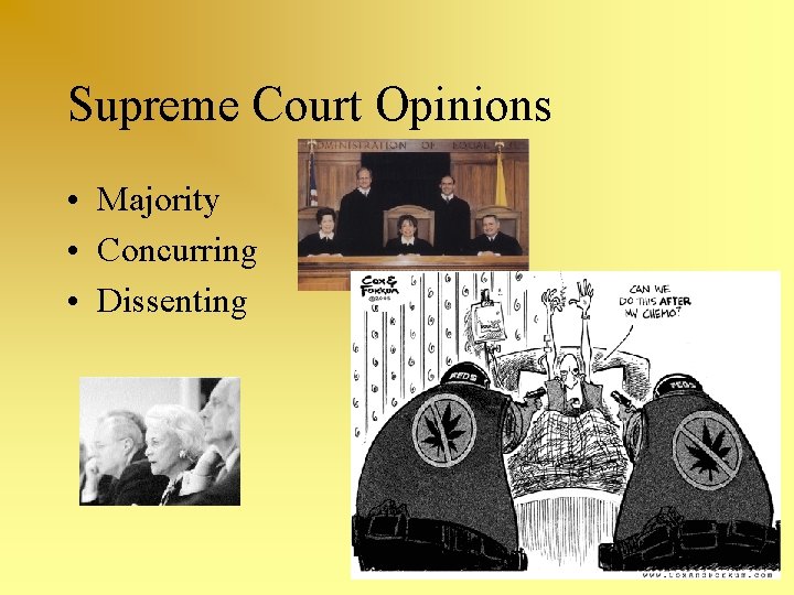 Supreme Court Opinions • Majority • Concurring • Dissenting 