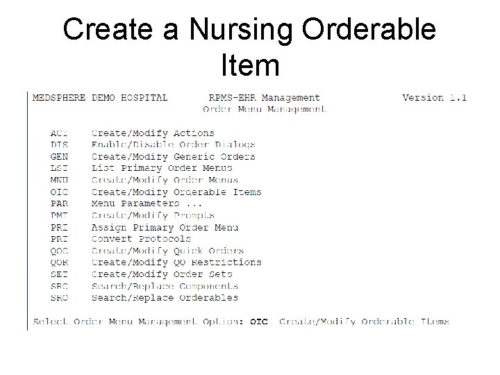 Create a Nursing Orderable Item 