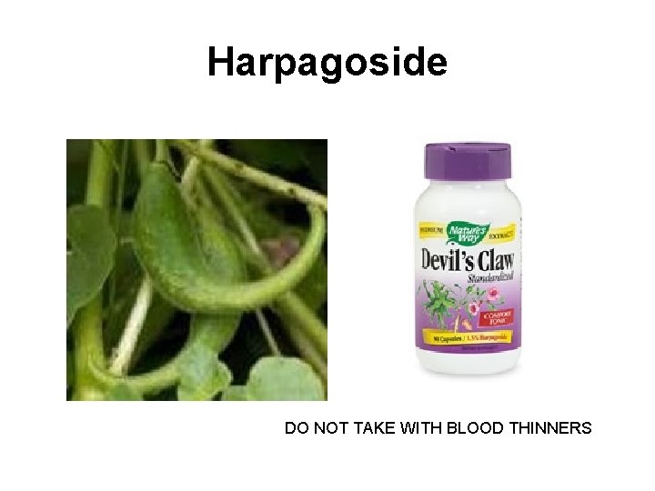 Harpagoside DO NOT TAKE WITH BLOOD THINNERS 