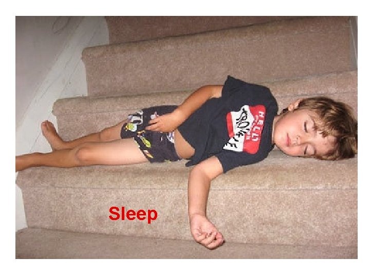 Sleep 