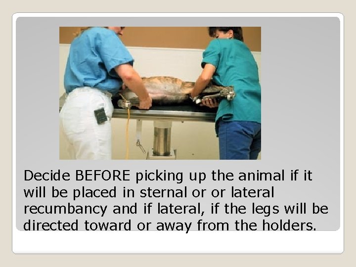 Decide BEFORE picking up the animal if it will be placed in sternal or