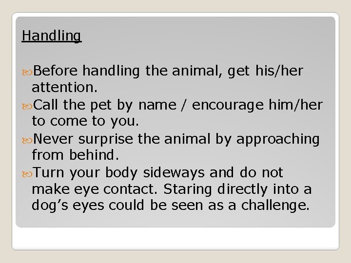 Handling Before handling the animal, get his/her attention. Call the pet by name /