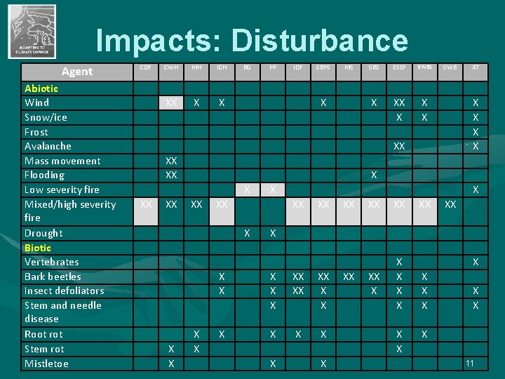 Impacts: Disturbance Agent Abiotic Wind Snow/ice Frost Avalanche Mass movement Flooding Low severity fire