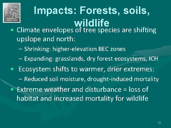 Impacts: Forests, soils, wildlife • Climate envelopes of tree species are shifting upslope and