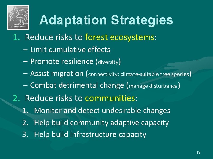Adaptation Strategies 1. Reduce risks to forest ecosystems: – Limit cumulative effects – Promote