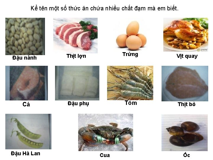 Kể tên một số thức ăn chứa nhiều chất đạm mà em biết. Đậu