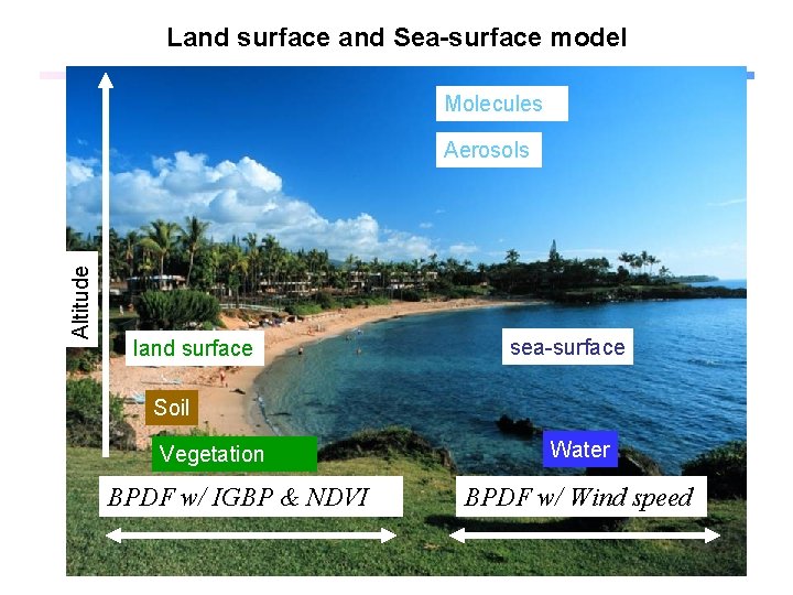 Land surface and Sea-surface model Molecules Altitude Aerosols land surface sea-surface Soil Vegetation BPDF
