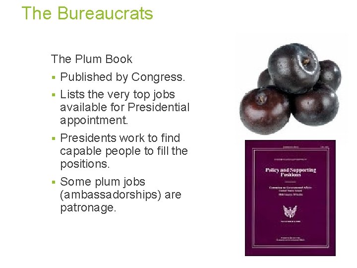 The Bureaucrats The Plum Book § Published by Congress. § Lists the very top