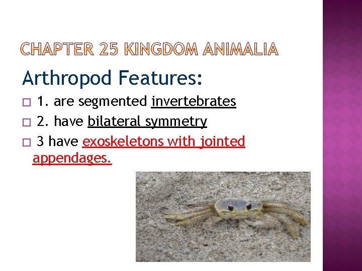 Arthropod Features: 1. are segmented invertebrates � 2. have bilateral symmetry � 3 have
