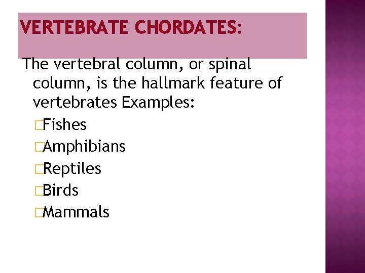 VERTEBRATE CHORDATES: The vertebral column, or spinal column, is the hallmark feature of vertebrates