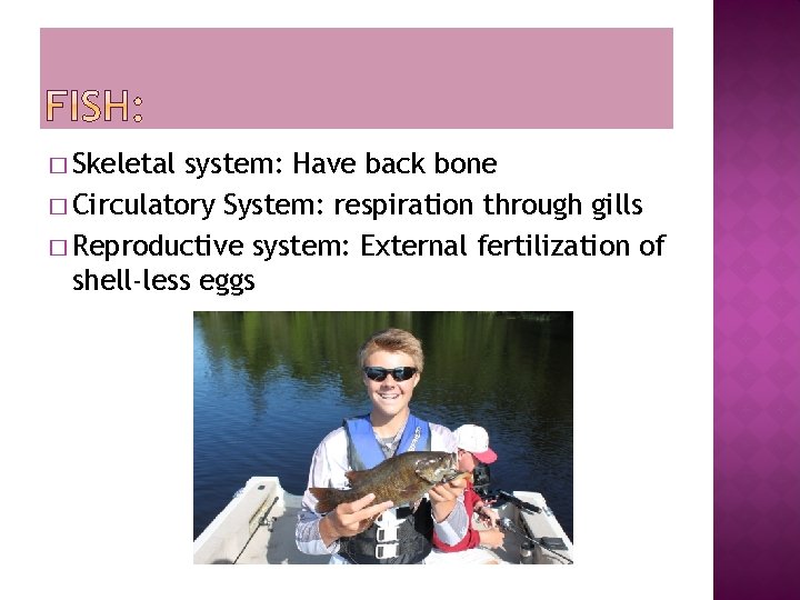 � Skeletal system: Have back bone � Circulatory System: respiration through gills � Reproductive