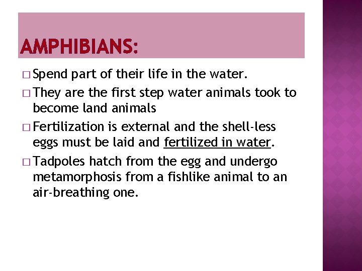 AMPHIBIANS: � Spend part of their life in the water. � They are the