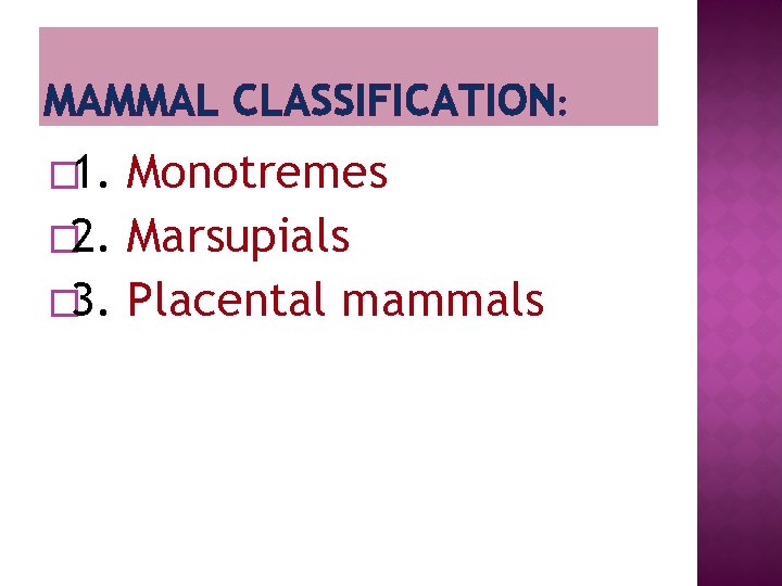 MAMMAL CLASSIFICATION: � 1. Monotremes � 2. Marsupials � 3. Placental mammals 