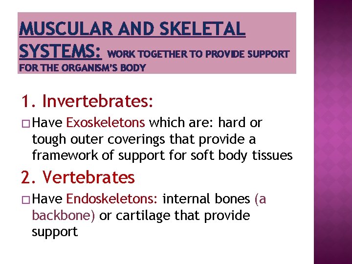 MUSCULAR AND SKELETAL SYSTEMS: WORK TOGETHER TO PROVIDE SUPPORT FOR THE ORGANISM’S BODY 1.