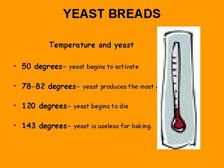 YEAST BREADS Temperature and yeast • 50 degrees- yeast begins to activate • 78